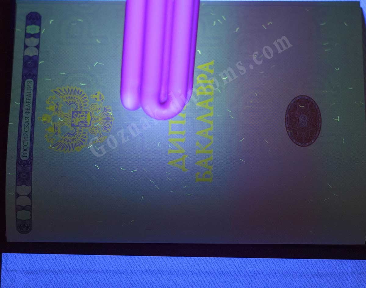 Диплом бакалавра 2014-2026