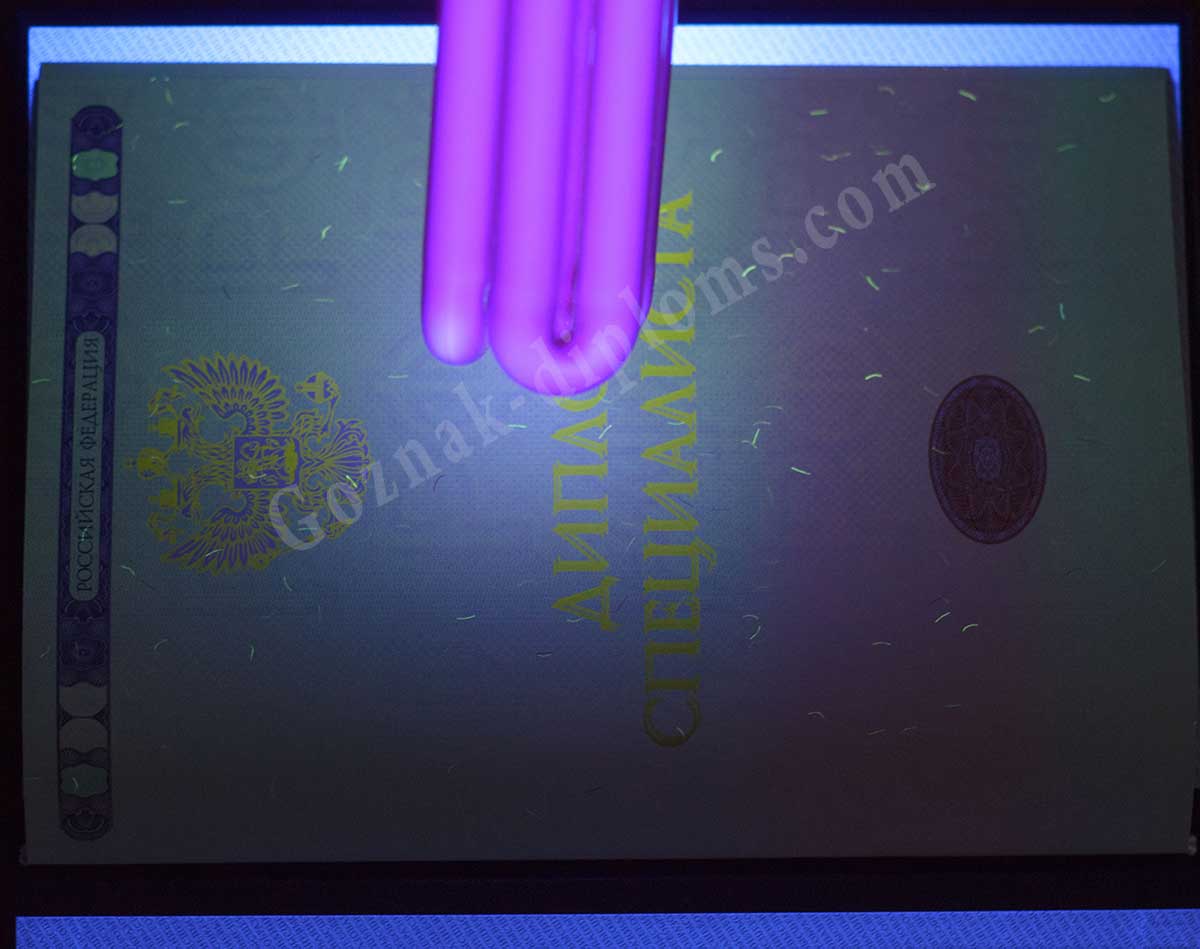 Диплом специалиста 2014-2026